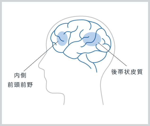 内側前頭前野 後帯状皮質