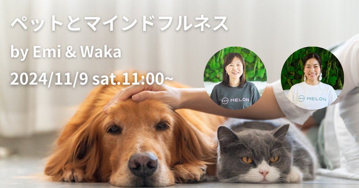 2024年11月9日開催　ペットとマインドフルネス